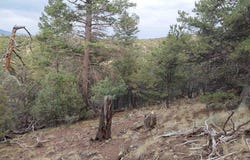 222 Sunrise Road, South Fork, CO 81154