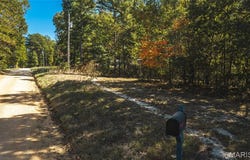 9560 Splitlimb Road, Raymondville, MO 65555