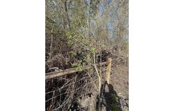 310 Cougar Road, Kamiah, ID 83536
