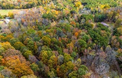 Prospect Road, Prospect, VA 23960