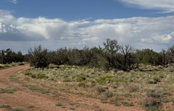 2445 Athapascan Drive, Heber, AZ 85928