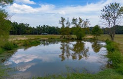 Sunshine Ln., Pangburn, AR 72121-0000