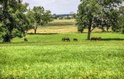 0000 Egypt Lane, Washington, TX 77880