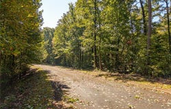 Abbott Mill lot: 22, Ellijay, GA 30540