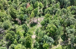 E Long Lake Road, Harrison, MI 48625