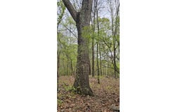 1050 Smith Road, Fortson, GA 31808
