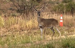 22 Lakesite Road, Spur, TX 79370