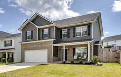 8030 Tree Line Lane, Corryton, TN 37721