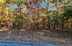Muirfield Drive lot: #785, Sunrise Beach, MO 65079