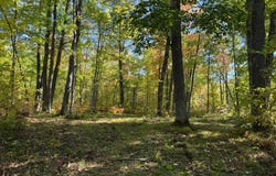 110th, Sturgeon Lake, MN 55783
