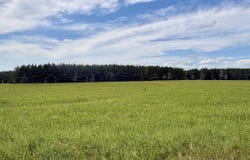 3785 Grant 9, Sheridan, AR 72150