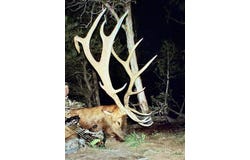 Akati Gulch, Hesperus, CO 81326