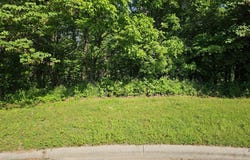 Fox Haven Drive lot: 6, Mt Vernon, MO 65712