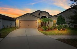 11837 THICKET WOOD Drive, RIVERVIEW, FL 33579