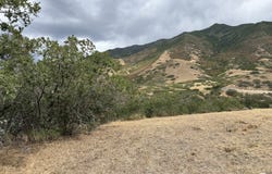 3235 S TWIN HOLLOW E, Mapleton, UT 84664
