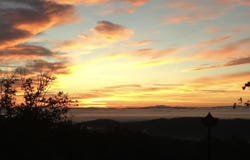 Bluff Ledge Trail, Hixson, TN 37343