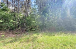 18 Acres Water Tank Road, Union Grove, AL 35175