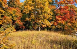 Parcel 1 E Darga Road, Cedar, MI 49621