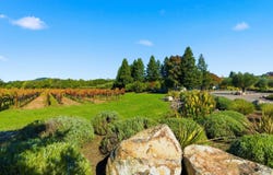 531 Limerick Lane, Healdsburg, CA 95448