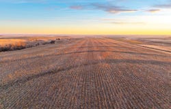 380th Ave, Palco, KS 67657