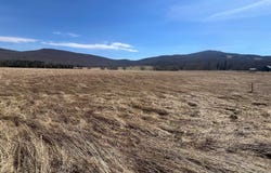 10 CLEAR VIEW Lane, DAVIS, WV 26260
