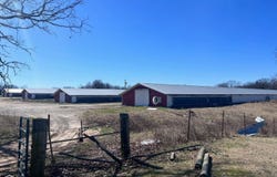 920 hwy 25, Strawberry, AR 72469