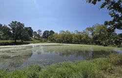 24770 Juniper Road, Lebanon, MO 65536