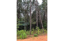 01 parcel 2 County Road 6629, BANKS, AL 36005
