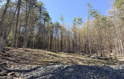 1397 N Shore Road, Hadley, NY 12835