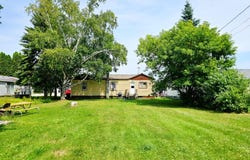 404 E John St, Newberry, MI 49868