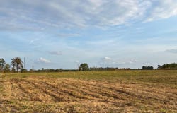 Pilcher Road, Many, LA 71449