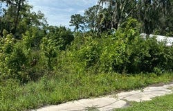 Jasper, FL 32052