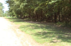 Eagle View Drive, Lewisville, AR 71845