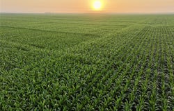 Oak Avenue, Bagley, IA 50023