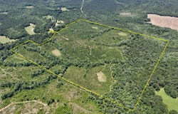 County Road 325, Troy, AL 36079