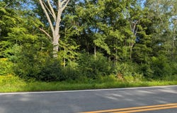 Pudding Hill Road, Hampton, CT 06247