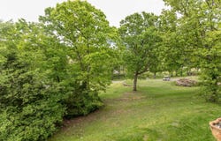 813 Holiday Ridge, Branson, MO 65616