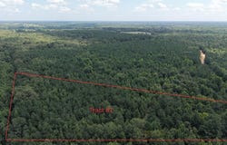 Tract 1 CR 4320, DeKalb, TX 75559