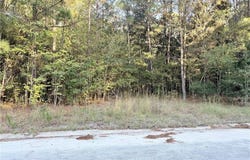 291 Sawdust Trail, Waycross, GA 31503