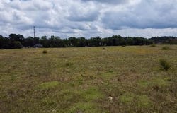 Highway 37, Mineola, TX 75773