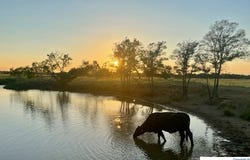 CR 358, Gause, TX 77857