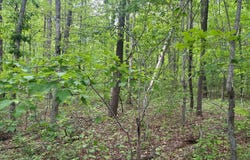 RT Davis, Spencer, TN 38585-5418