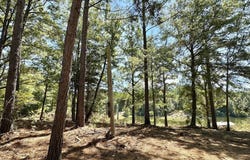 Race Track Road, West, MS 39192