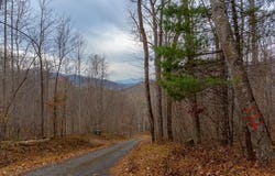 River Road Trace lot: 4, Franklin, NC 28734