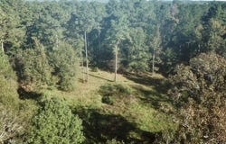 Hwy 28 W, SOSO, MS 39480