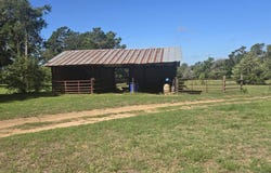 485 Wilcox Dr, Rusk, TX 75785