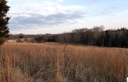 Hornback Lane, Caneyville, KY 42721
