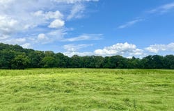 Lexington Road, Pickens, MS 39146