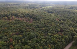0VL S Mason Road, Ashley, MI 48806