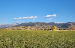1753 Foxtail Drive, Driggs, ID 83422